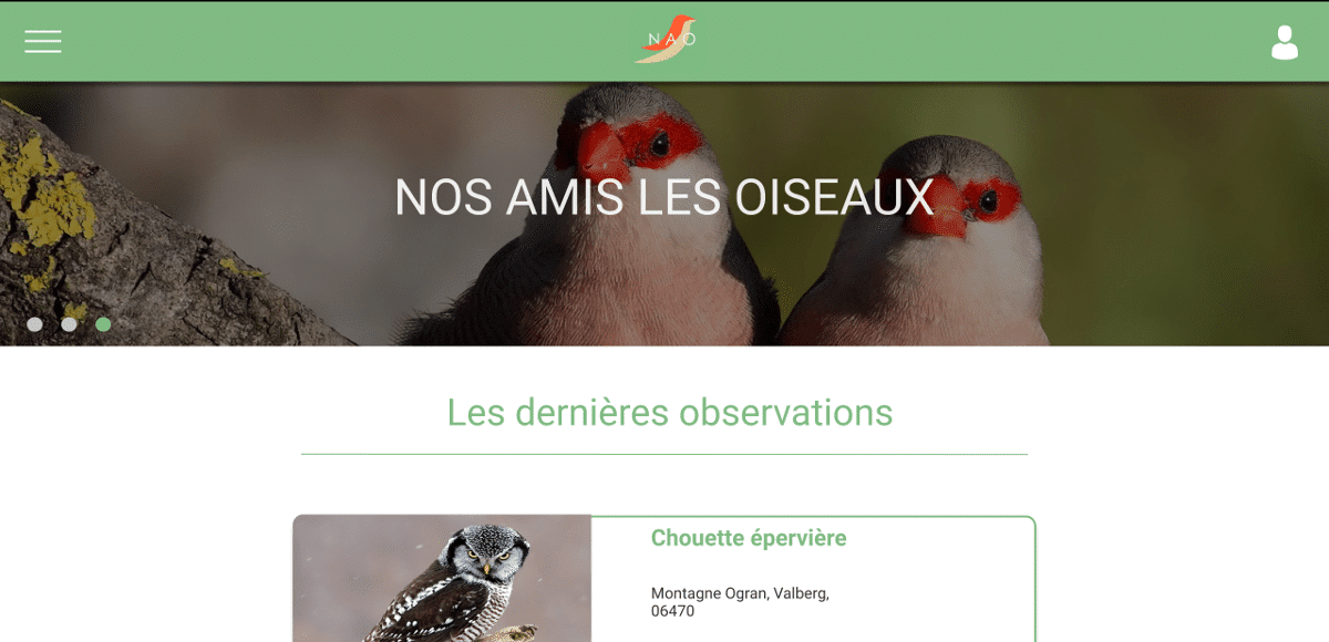 Capture d'écran site Nos Amis Les Oiseaux